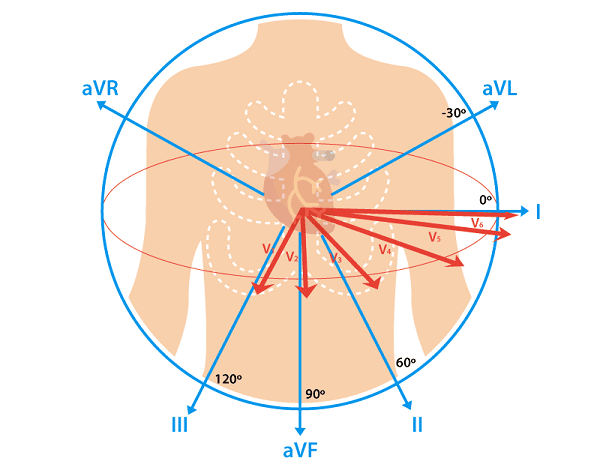 از سیر تا پیاز دستگاه الکتروکاردیوگرام (ECG) دستگاه ECG